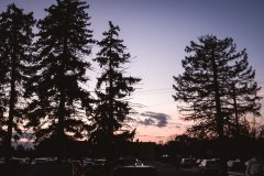 IMG_1016