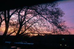 IMG_1041